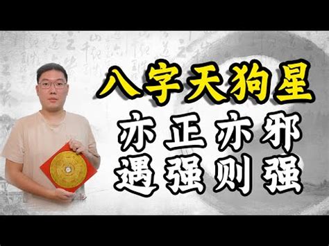 天狗 八字|八字天狗如何看？